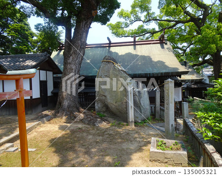 廣島縣尾道市：在權神社的禮拜殿旁的岩石上纏繞著注連繩。 135005321