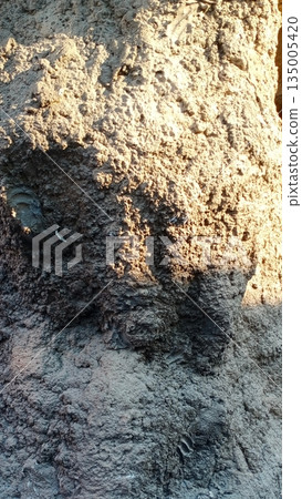 broken egg in grass 135005420