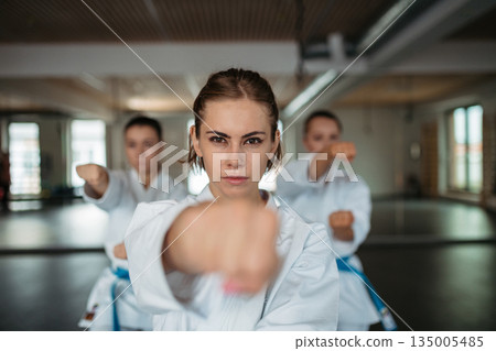 Focused female karate fighters practicing punch technique. Focused female karate fighters practicing punch technique. 135005485
