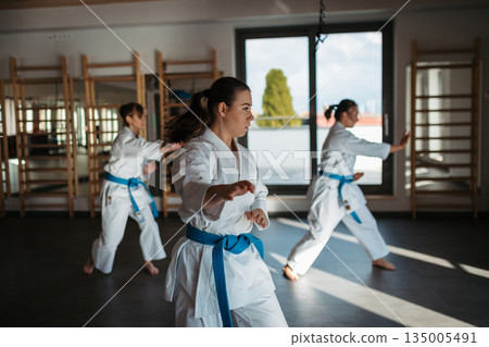 Women practicing karate kata in martial arts studio. Women practicing karate kata in martial arts studio. 135005491