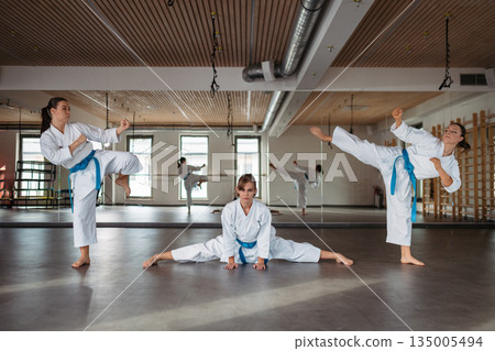 Women practicing karate kata in martial arts studio. Women practicing karate kata in martial arts studio. 135005494