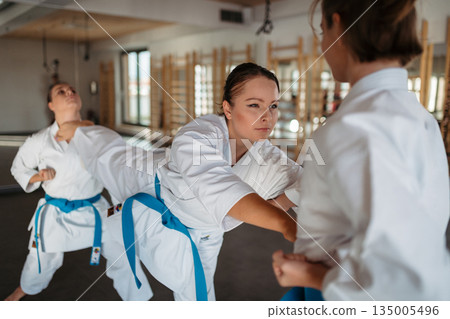 Strong women training karate in dojo. Strong women training karate in dojo. 135005496