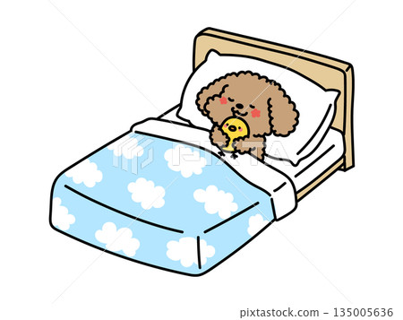 Illustration of cute animals sleeping in bed - Poodle version Illustration of cute animals sleeping in bed - Poodle version 135005636