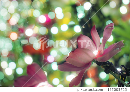 宇宙被光照亮 135005723