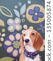 A beagle standing in front of a handmade piece 135005874