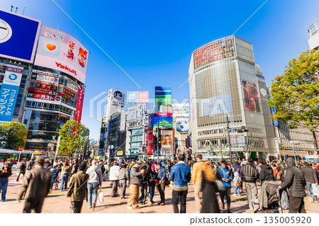 Shibuya station square scramble crossing Shibuya station square scramble crossing 135005920