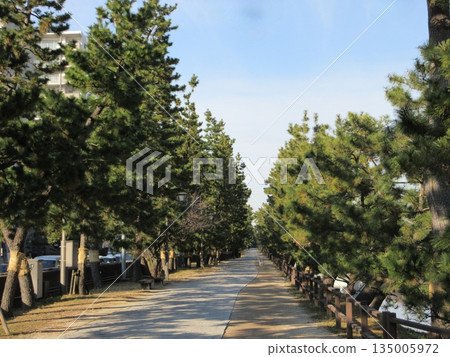Soka Matsubara! The pine-lined scenic spot of the Oku no Hosomichi 135005972