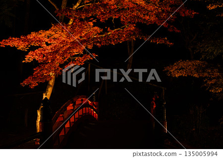 靜岡縣遠富國一宮市小國神社的秋葉 135005994