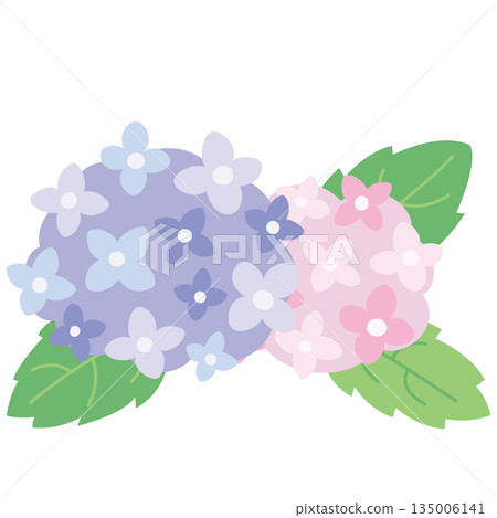 Illustration of purple and pink hydrangeas drawn in pastel colors 135006141