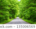 A straight road through a forest of fresh greenery 135006569