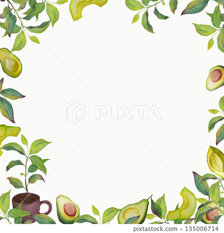 Watercolor avocado botanical frame with leaves on white background 135006714
