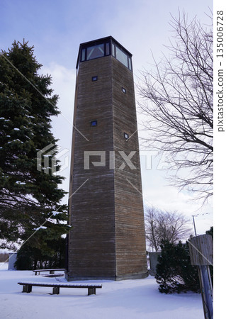 冬日蜂斗菜塔（南幌町，2026年1月） 135006728