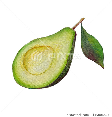 Watercolor avocado half illustration with leaf 135006824