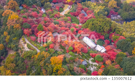 Nov 24 2025 Saga Arashiyama Skyline Over Kyoto Mountains And River 135007612