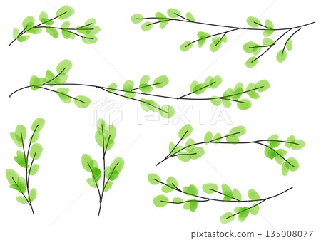 Hand drawn watercolor illustration of green leaves Hand drawn watercolor illustration of green leaves 135008077