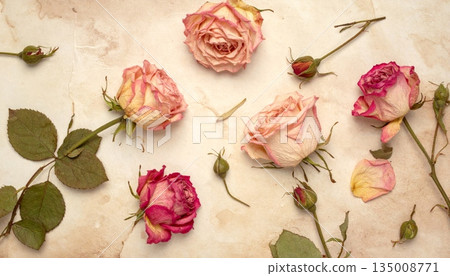 A vintage floral background featuring a romantic bouquet of pink roses and delicate petals creates a beautiful nature-inspired blossom gift perfect for a wedding or Valentine romance A vintage floral background featuring a romantic bouquet of pink roses and delicate petals creates a beautiful nature-inspired blossom gift perfect for a wedding or Valentine romance 135008771