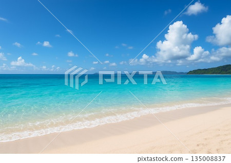 沖繩私人海灘 沖繩私人海灘 135008837