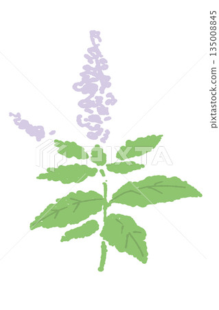 mint, vector, vectors 135008845