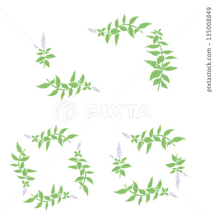 herbal, vector, vectors 135008849