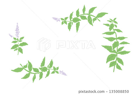herbal, leaf, leafs 135008850