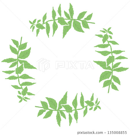 leaf, leafs, leaves 135008855