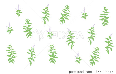 herbal, vector, vectors 135008857