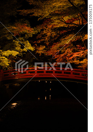 Autumn foliage at Oguni Shrine, Ichinomiya, Totomi Province, Morimachi (Shizuoka Prefecture) 135009175
