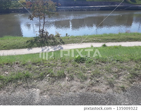 河畔風光,美麗的河流,河景 河畔風光,美麗的河流,河景 135009322