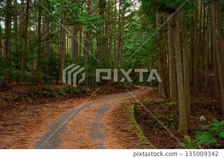 熊野古道 熊野古道 135009342