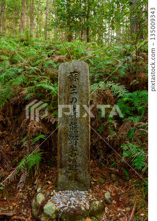 熊野古道 熊野古道 135009343
