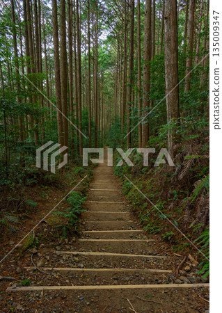 熊野古道 熊野古道 135009347
