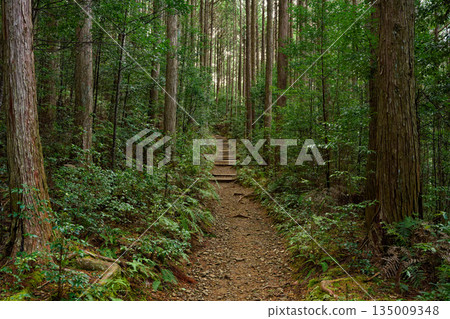 熊野古道 135009348