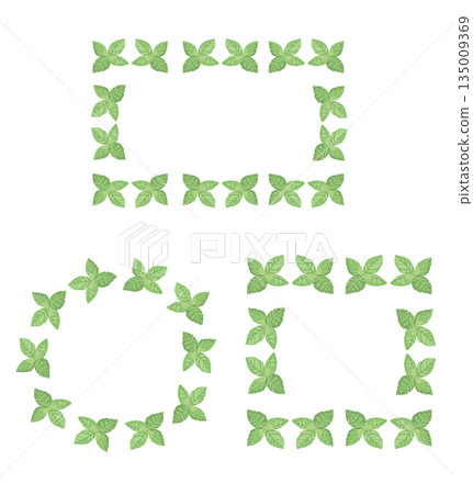 Hand-drawn mint leaf color illustration 135009369