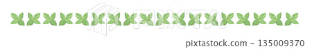 Hand-drawn mint leaf color illustration Hand-drawn mint leaf color illustration 135009370