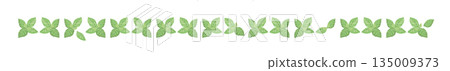 Hand-drawn mint leaf color illustration Hand-drawn mint leaf color illustration 135009373