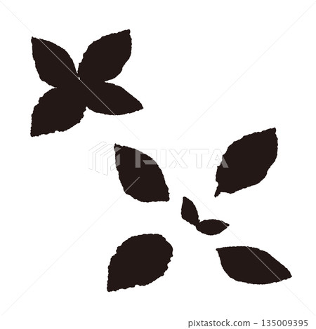 手繪薄荷葉插圖（單色黑白） 135009395