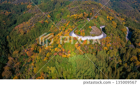 Nov 24 2025 Serene Takagamine Kaido Landscape in Kyoto, Japan Nov 24 2025 Serene Takagamine Kaido Landscape in Kyoto, Japan 135009567