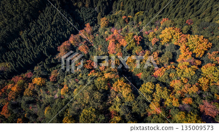 Nov 24 2025 Serene Takagamine Kaido Landscape in Kyoto, Japan Nov 24 2025 Serene Takagamine Kaido Landscape in Kyoto, Japan 135009573