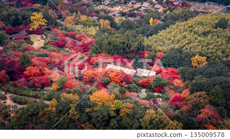 Nov 24 2025 Scenic landscape of Sagaogurayamacho district in Kyoto Japan Nov 24 2025 Scenic landscape of Sagaogurayamacho district in Kyoto Japan 135009578
