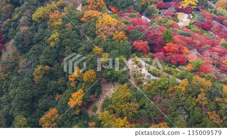 Nov 24 2025 Scenic landscape of Sagaogurayamacho district in Kyoto Japan Nov 24 2025 Scenic landscape of Sagaogurayamacho district in Kyoto Japan 135009579