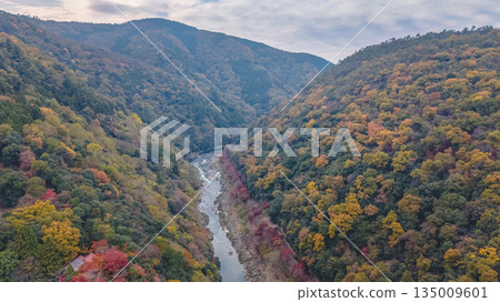 Nov 24 2025 Rankyo Gorge Autumn Valley Landscape In Kyoto Japan Nov 24 2025 Rankyo Gorge Autumn Valley Landscape In Kyoto Japan 135009601