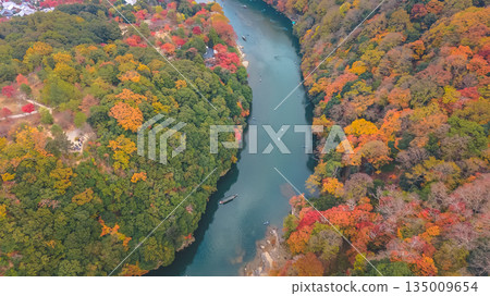 Nov 24 2025 Fall Trees At Arashiyama Rankyo Gorge Kyoto Japan 135009654