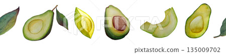 Watercolor Avocado Seamless Border Fresh Green Fruits Watercolor Avocado Seamless Border Fresh Green Fruits 135009702