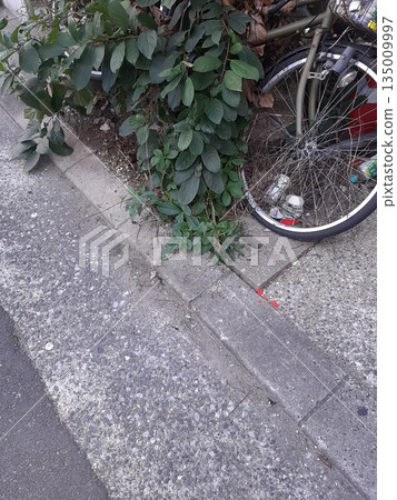 Abandoned bicycles Bicycles Abandoned bicycles Bicycles 135009997