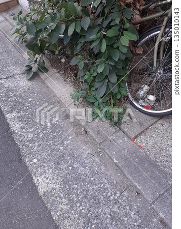 Bicycle parked on the side of the road Bicycle parked on the side of the road 135010143
