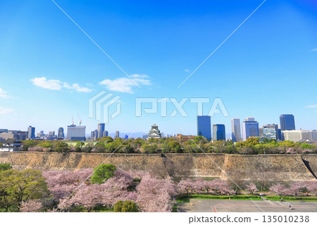 【大阪府】櫻花盛開的大阪城和大阪商業園 【大阪府】櫻花盛開的大阪城和大阪商業園 135010238
