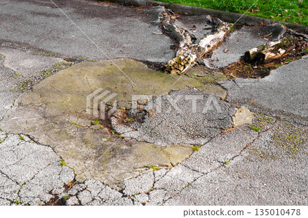 Cracked asphalt area where tree was felled with cut roots protruding through the pavement in public park. Concept of damaged urban infrastructure Cracked asphalt area where tree was felled with cut roots protruding through the pavement in public park. Concept of damaged urban infrastructure 135010478