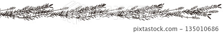Hand-drawn monochrome illustration of lavender 135010686