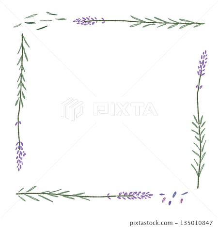 薰衣草手繪彩色插圖素材 薰衣草手繪彩色插圖素材 135010847