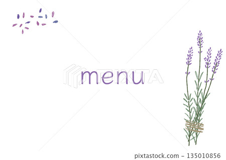 薰衣草手繪彩色插圖素材 135010856